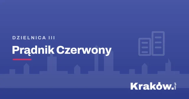 Akcje edukacyjne i warsztaty zdrowego żywienia dla dzieci podczas WOŚP 2026 Kraków