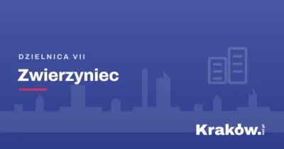 Nowe przejście dla pieszych na skrzyżowaniu – kluczowy element inwestycji Przebudowa Olszanickiej Kraków