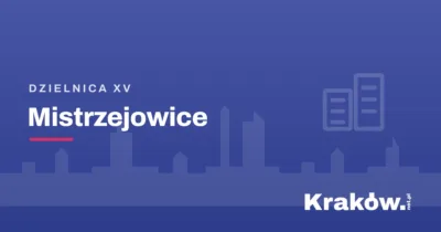Wyjątkowe licytacje podczas WOŚP Kraków 2026 – na co mogą liczyć uczestnicy i jakie atrakcje przygotowano w tym roku?