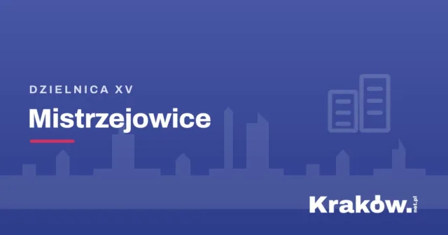 Wyjątkowe licytacje podczas WOŚP Kraków 2026 – na co mogą liczyć uczestnicy i jakie atrakcje przygotowano w tym roku?
