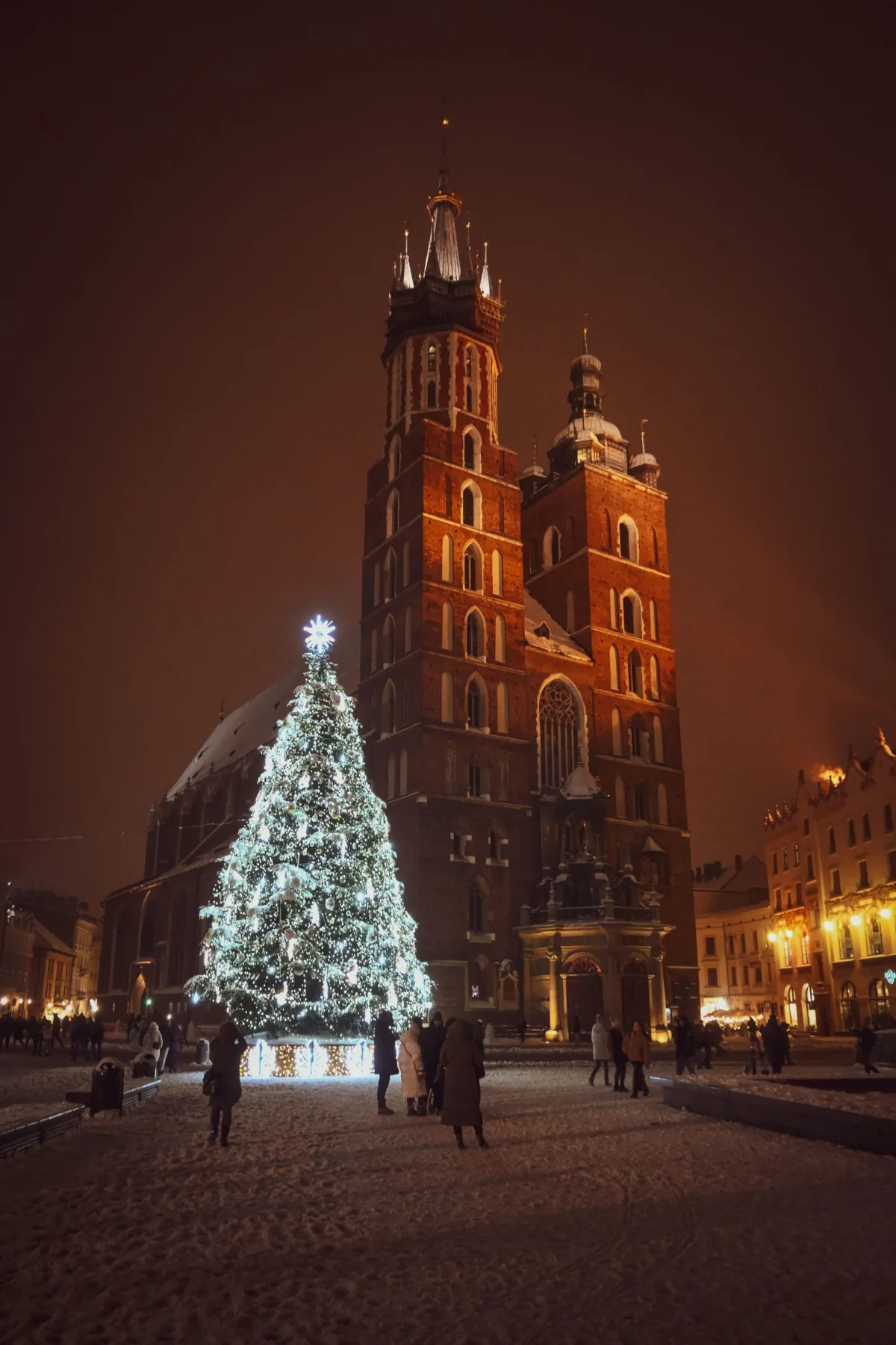 The Christmas tree and St Mary's Basilica on Kraków's Main Square at night